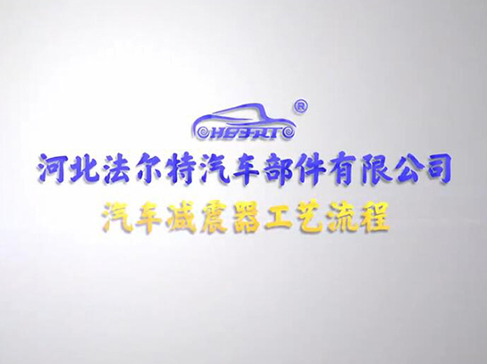 Promotional Video 